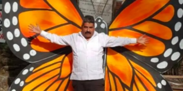 Denuncian tala ilegal y presencia del crimen organizado en la zona de la Mariposa Monarca