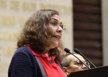 Proponen suspender la patria potestad a investigados por feminicidio o tentativa