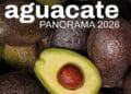 Michoacán sostiene el liderazgo del aguacate, pero hay riesgos sanitarios, ambientales y logísticos