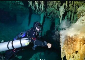 Alertan por posible deterioro en pilotes del Tramo 5 del Tren Maya