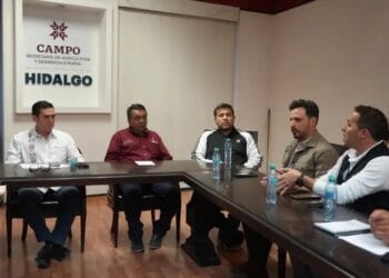 Hay alerta en Hidalgo por casos de gusano barrenador