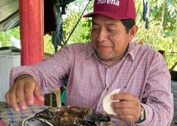 Dirigente municipal de Morena es criticado por consumo de tortuga protegida