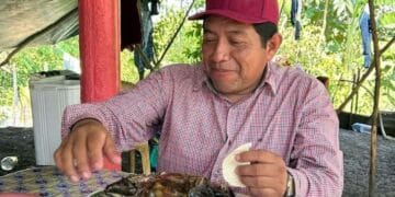 Dirigente municipal de Morena es criticado por consumo de tortuga protegida