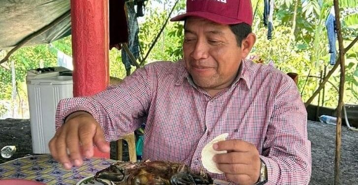 Dirigente municipal de Morena es criticado por consumo de tortuga protegida