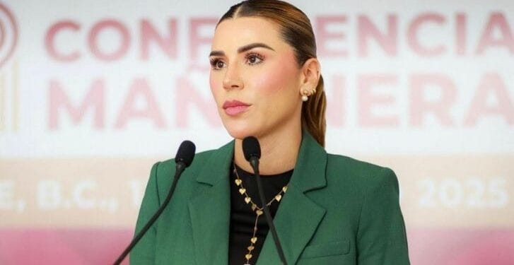 Marina del Pilar descarta solicitar licencia; reunión con gabinete ya estaba programada