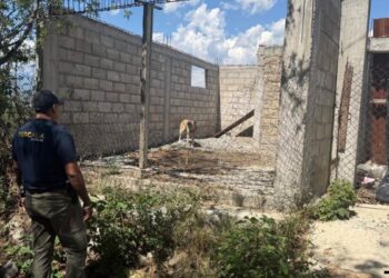 Asegura FGE ejemplar canino durante cateo por presunto maltrato animal en Zitácuaro