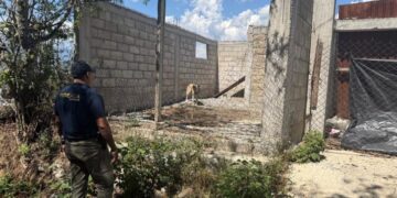 Asegura FGE ejemplar canino durante cateo por presunto maltrato animal en Zitácuaro