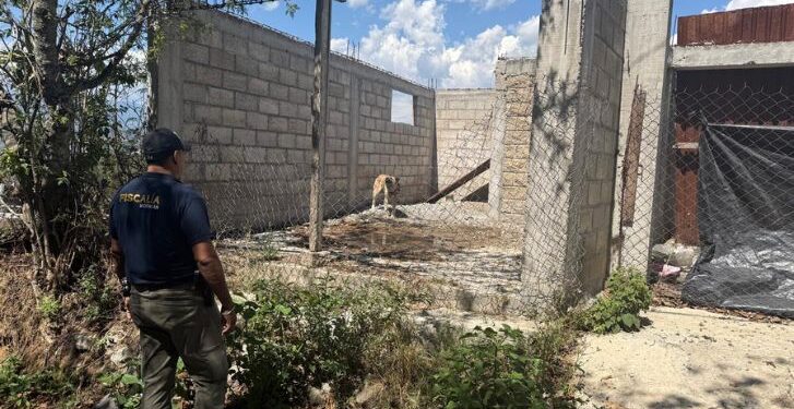 Asegura FGE ejemplar canino durante cateo por presunto maltrato animal en Zitácuaro