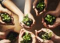 Investigación de la UNAM impulsa uso de microorganismos nativos para fortalecer la agricultura sustentable en Michoacán