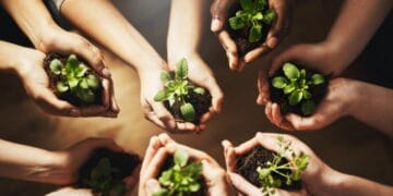 Investigación de la UNAM impulsa uso de microorganismos nativos para fortalecer la agricultura sustentable en Michoacán