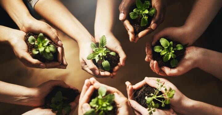 Investigación de la UNAM impulsa uso de microorganismos nativos para fortalecer la agricultura sustentable en Michoacán