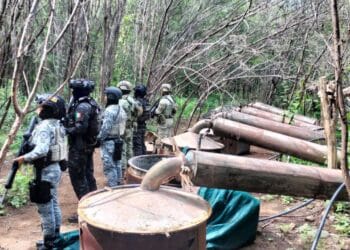Desmantelan cuatro laboratorios clandestinos en operativo en Michoacán y Guerrero