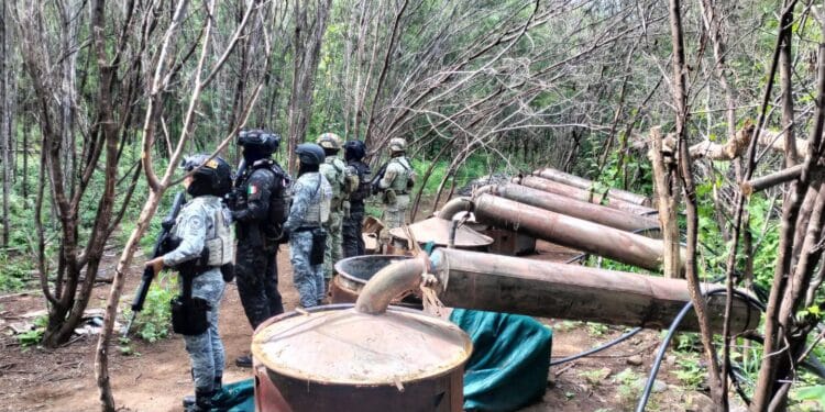 Desmantelan cuatro laboratorios clandestinos en operativo en Michoacán y Guerrero